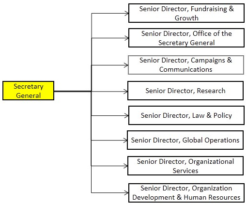 Amenisty International Leadership Structure